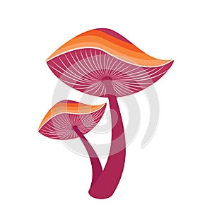 Reishi Ganoderma lingzhi mushroom vector illustration