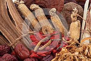 Reishi or lingzhi mushroom ,goji berry ,jujuba,ginseng and cordyceps sinensis background