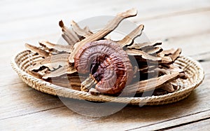 Reishi or lingzhi Mushroom on an old wooden background