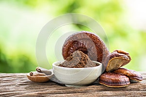 Reishi or lingzhi mushroom and powder on natural background