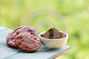 Reishi or lingzhi mushroom and powder on natural background