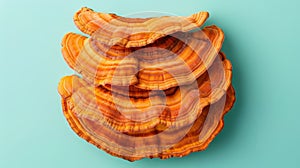 Reishi mushroom ganoderma lucidum on soft pastel colored background for serene feel