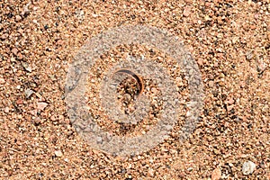 Rejected gold wedding ring buried in sea sand after a divorce