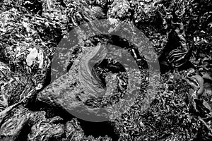 Rejected remelt high density polyethylene products