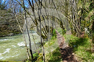 Reka river near Divaca and Matavun in Primorska, Slovenia photo