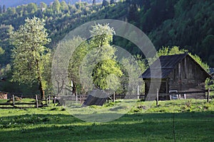 A bucolic wooden house in the Carpathians photo