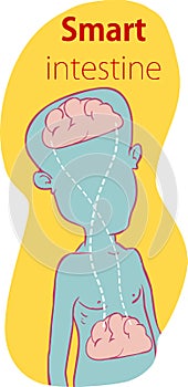 Relation of human brain and guts, second brain, image diagram - Vector