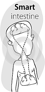 Relation of human brain and guts, second brain, image diagram - Vector