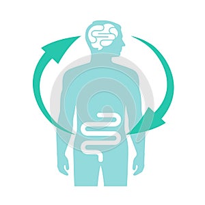 Relation of human brain and guts, second brain, image diagram, vector illustration