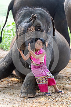 Relationship between Asian people and elephant, Thai lady beautiful dressing traditional northern style touching elephans trunk