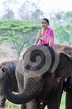 Relationship between Asian people and elephant, Thai lady beautiful dressing traditional northern style touching elephans trunk