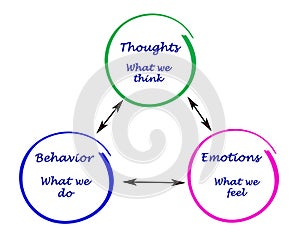 cognition, emotions, and behavior photo