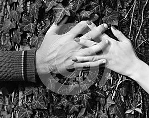 Relationship and fall time concept. Couple in love near tree. Mans and womans hands