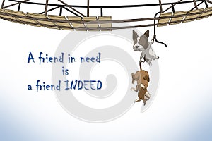 Relationship of friends