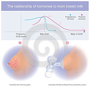 The relationship of hormones to mom breast milk