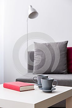 Relax with book and cup of tea