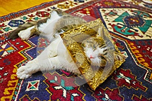 Relax on carpet