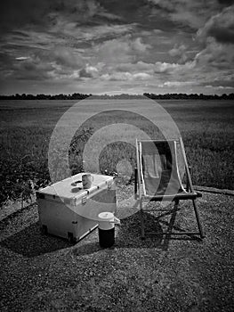 Relax corner in rice field green season. Scenic view of  agricultural landscape. Black & white photography.