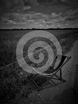 Relax corner in rice field green season. Scenic view of  agricultural landscape. Black & white photography.