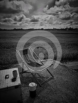 Relax corner in rice field green season. Scenic view of  agricultural landscape. Black & white photography.
