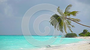 Relax on an empty sea beach. Travel to the paradise sea beach. The Dominican Republic beaches. Travel to Island palm and