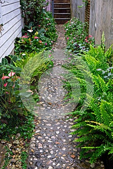 Relax and Fresh Beautiul Walkpath in the Garden After Rain