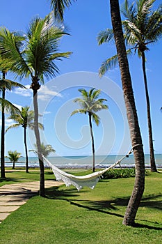 Relax on a hammock at Arraial d'Ajuda Eco Resort