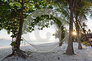Relax in hammock on the beach