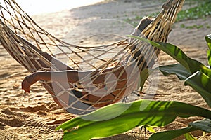 Relax happy woman on cradle or hammock beach background beautiful sunset sunrise