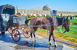 Relax in Isfahan, Iran