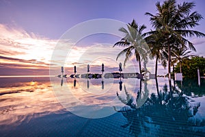 Relax in luxurious beachfront hotel resort in sunset light beach holiday vacation, Loungers palm tree infinity pool reflections