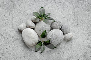 Relax and meditation with spa stones and green leaves