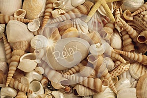 Relax Pebble on holiday seashell background