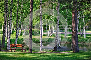 Relax place near pond in summer park