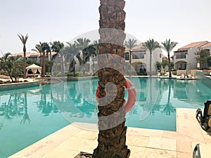 Relax pool with clear blue water with sunbeds for sunbathing with sun umbrellas against the backdrop of a palm trunk with a life r