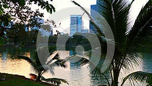 Relax in Public Park with Lake, Green Trees with Skyscrapers Buildings in City