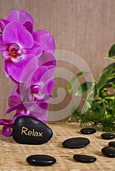 Relax Spa Concept