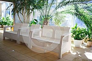 Relaxation area with green plants in the spa center