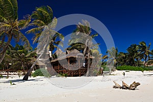 Relaxation on the beach of Caribe, Mexico