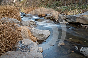 Relaxation by the creek