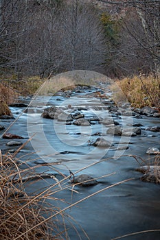 Relaxation by the creek