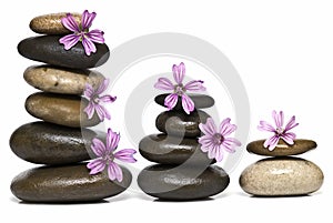 Relaxation with flowers and stones.