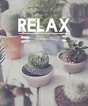 Relaxation Relax Chill Out Peace Resting Serenity Concept