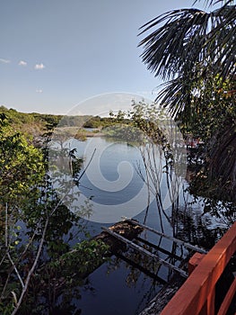 Relaxation and tranquility with Rio Negro landscape