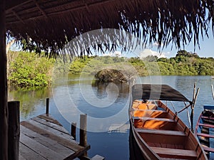 Relaxation and tranquility with Rio Negro landscape