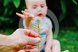 Relaxed baby enjoying the sensation of noticing the freshness of the grass on his bare feet