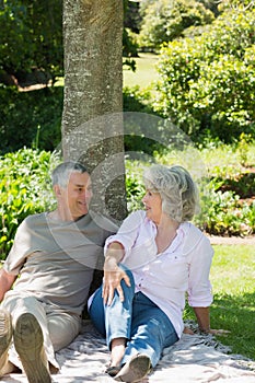 Relaxed couple sitting together against tree at park
