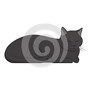 Relaxed dark gray cat sleeping with eyes closed