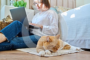 Relaxed sleeping red cat lying on floor, woman with laptop in out of focus