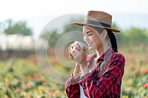 Relaxed Style Asian Women with Bright Red Shirts Drink hot Coffee or Tea in the Rose Garden in the Morning